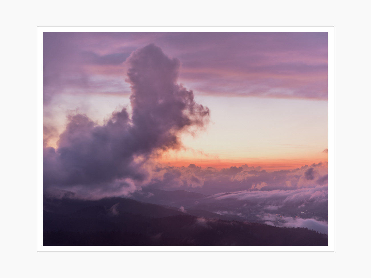 Max Schiefele Alle Bilder  DSF0897